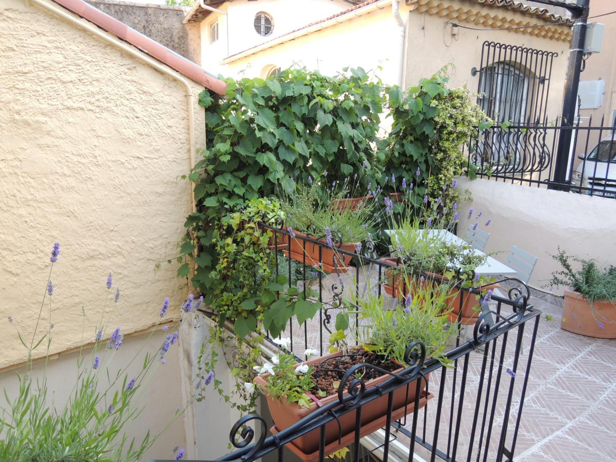 Acci Cannes Old City 객실 사진